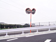 詳細情報