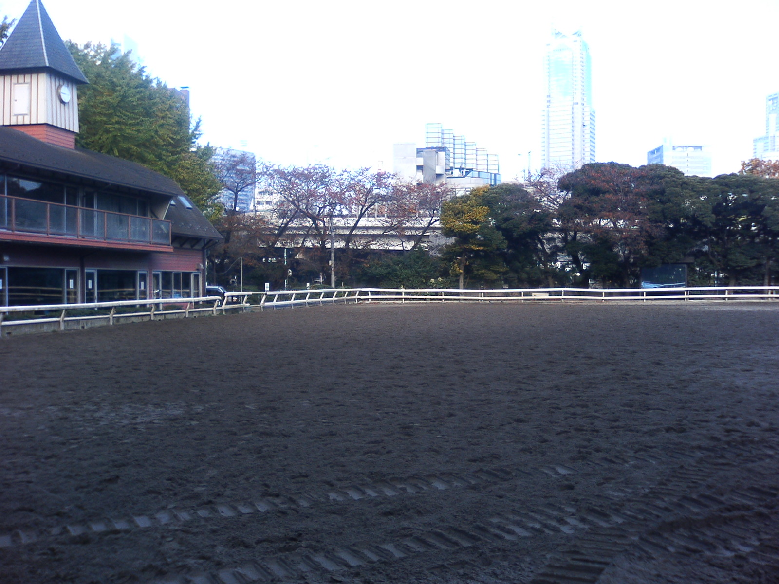 (社）東京乗馬倶楽部馬場整備工事